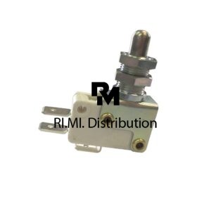 MICROINTERRUTTORE