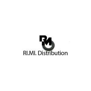 Guarnizione OR R4